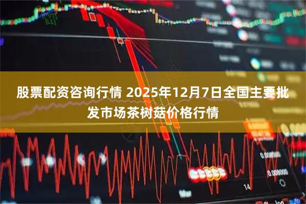 股票配资咨询行情 2025年12月7日全国主要批发市场茶树菇价格行情